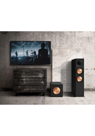 R-101sw Subwoofer - 10 İnç Yüksek Verimli Subwoofer Sürücü, Dahili Dijital Amfi, Düşük Frekanslarda Derin, Güçlü Ve Hassas Bas Sesleri, 300 Watt Güç Çıkışı, Siyah