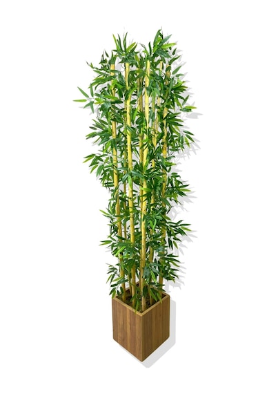 Cihan Çiçekçilik Bambu Yapay Ağaç 200 Cm 9 Adet Ahşap Saksıda Beyaz- Yeşil