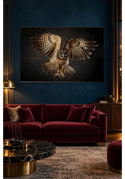 Fida Karanlıkta Kanat Açan Baykuş Canvas Tablo Çok Renkli
