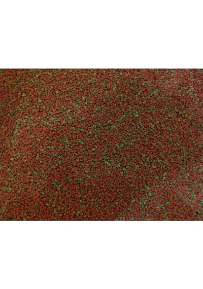 Ahm Red Green Granulat Akvaryum Balık Yemi Açık Yem 250 G