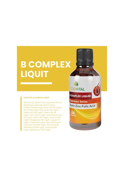 Kedi Ve Köpek İçin Plus B Damla 50ml + Biovital Paste 100 Gr 2'li Set Tüy Bakımı Dökümü Engelleyici