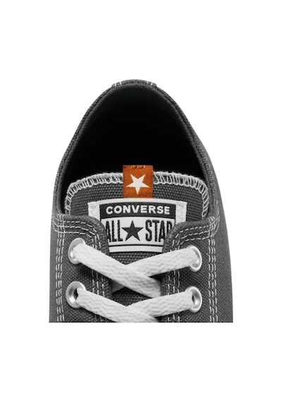 Converse Chuck Taylor All Star Logo Tag 6687 Antrasit