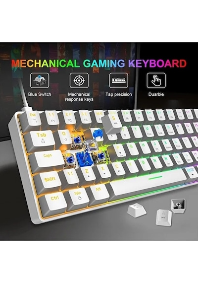 Blue Switch Mini Rgb Oyun Klavyesi Gaming Mekanik 62 Tuşlu 18 Rgb Led Usb Type-c Kablo