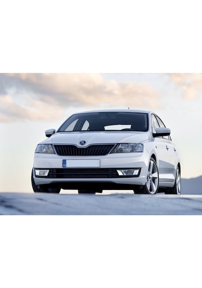 Skoda Rapid 2012-2021 Tavan Radyo Anteni Komple 6R0035501F