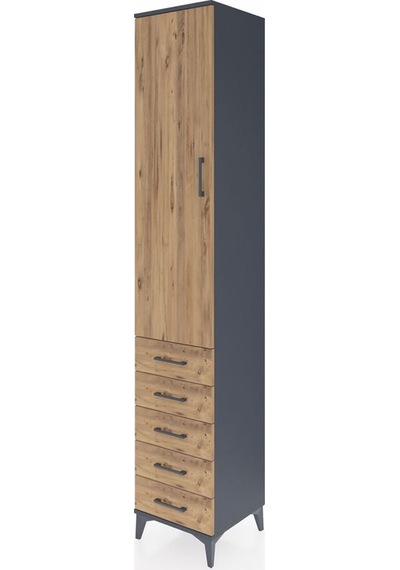 Hyperion Dolap 4 Raflı 5 Çekmeceli Tek Kapaklı 44x44x243 Antr... Antrasit