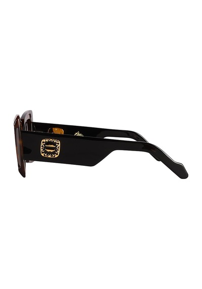 Prochyta Elite Pe02 Col Havana 50 Kadın Güneş Gözlüğü