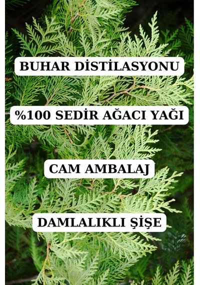 Sedir Ağacı Yağı - 10 Ml Seyreltilmemiş, Doğal Uçucu Yağ 20 ML