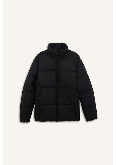 Defacto Slim Fit Dik Yaka Astarlı Fermuarlı Su Geçirmez Siyah Erkek Mont C5631ax/bk27 Siyah
