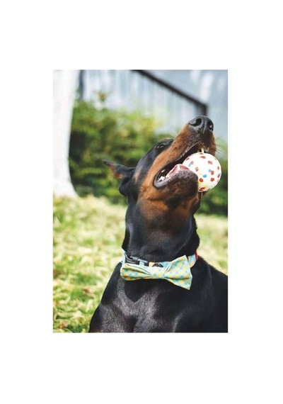 M-pets Bloom Ball Oyun Topu Parçalanmaz