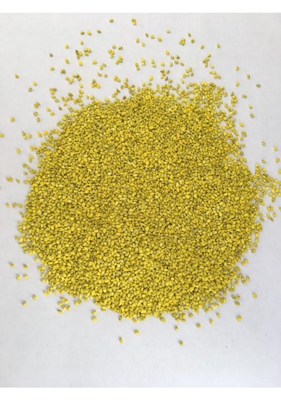 Yonca Tohumu Gea Yonca 1 KG İthal Yonca Tohumu Gea Yonca Tohumu