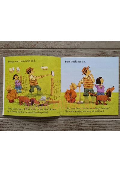 Farmyard Tales Stories Barn on Fire (Farmyard Tales) - Heather Amery - Usborne