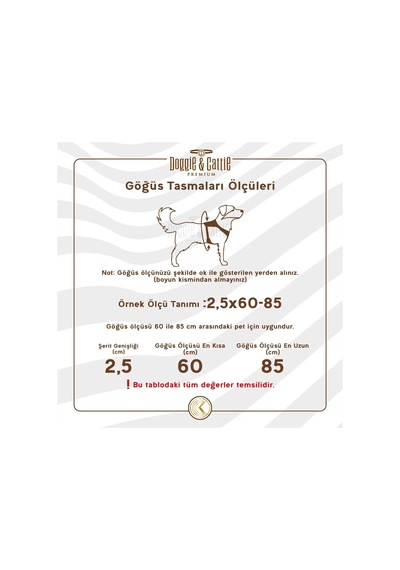 Cattie Premium Desenli Dokumadan El Yapımı Kedi Göğüs Takımı 40