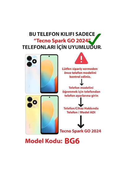 Tecno Spark 20-20c Uyumlu Morty Dolar Baskılı Silikon Kılıf