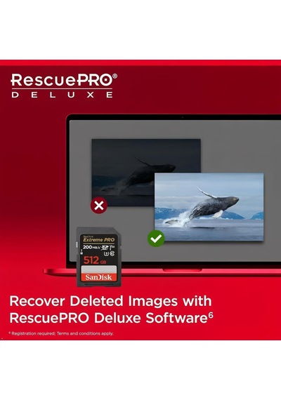Sandisk Extreme Pro Sdxc Uhs-ı Hafıza Kartı 512 Gb V30, Aktarım