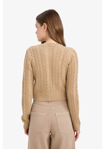 Defacto Coool Regular Fit Bisiklet Yaka Hırka E8237ax25wnbn268 Kahve