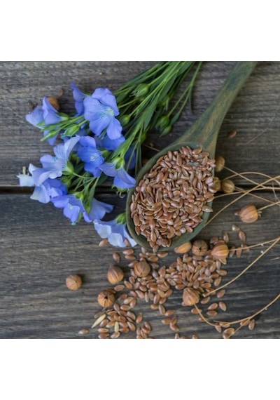 Keten Tohumu Doğal Katkısız - Aromatik Bitkiler Kooperatifi Keten Tohumu 100 Gr