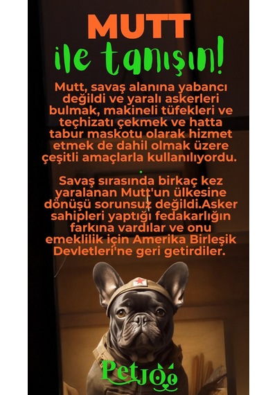 Petjoo 10.Mutt Yeşil-Turuncu Qr'lı Köpek Künyesi