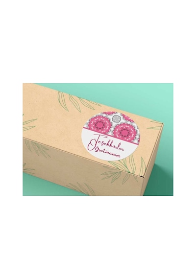 Pembe Öğretmenler Günü Sticker Teşekkürler Öğretmenim Yuvarlak Mat Etiket 4 Cm 100 Adet Çok Renkli