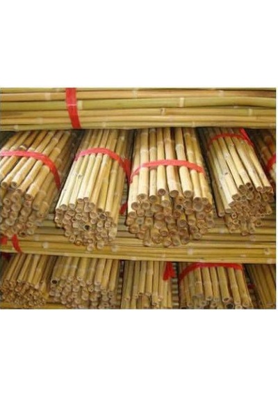 Bitki Destek Çubuğu Bambu 75 Cm 10 Adet Diğer