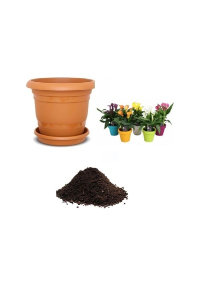 Ithal Karışık Calla Lily Tohumu Ekim Seti