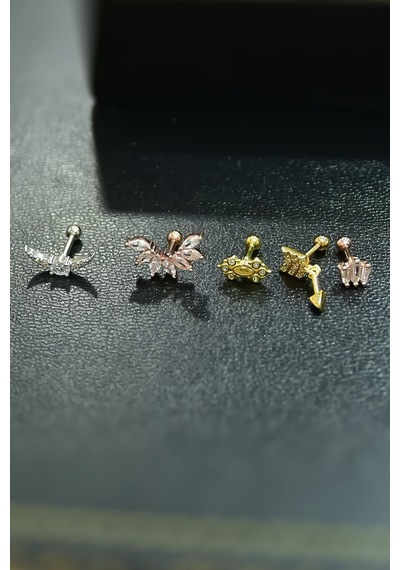 Papatya Silver Çelik Üç Renkli 5'li Kombinli Tragus Küpe Model5