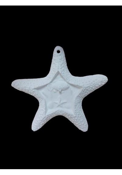 Deniz Yıldızı 17x16cm