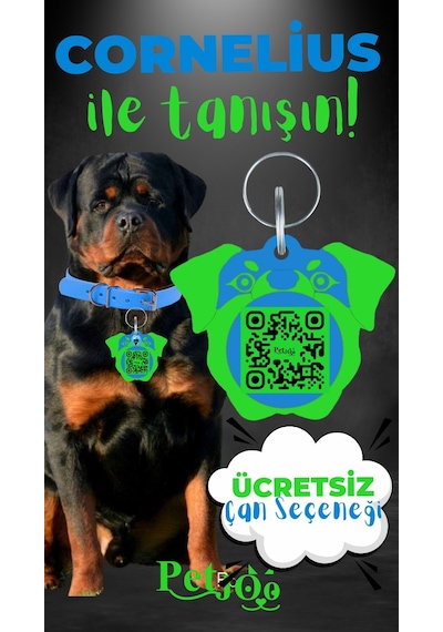 Petjoo 20.Cornelius Yeşil-Mavi Qr'lı Köpek Künyesi