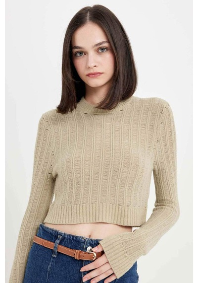DeFacto Regular Fit Crop Bisiklet Yaka Örgü Delikli Triko Kazak C6321AX24WNGN270 Yeşil