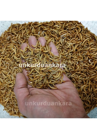 Un Kurdu 100 Gram