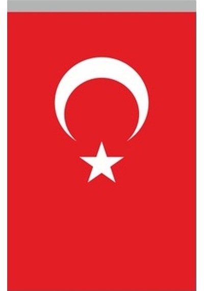 Buket Türk Bayrağı 20 x 30 CM