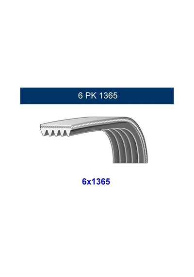 Gmb 6pk1365 Kayis 4004824 5867298320 Md369862