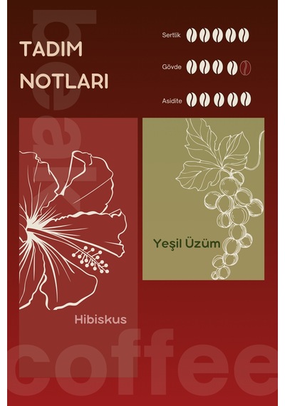 Colombia Hibiscus Natural Çekirdek Kahve 250 Gr , %100 Arabica Çekirdek Kahve