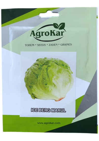 Iceberg Marul Tohumu 2 Gr 1 Paket