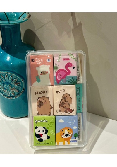 Pratik Hijyen Seti-9 Paket Kağıt Mendil - 8 Paket Mini Islak Mendil - Sihirli Sabun + Saklama Kabı