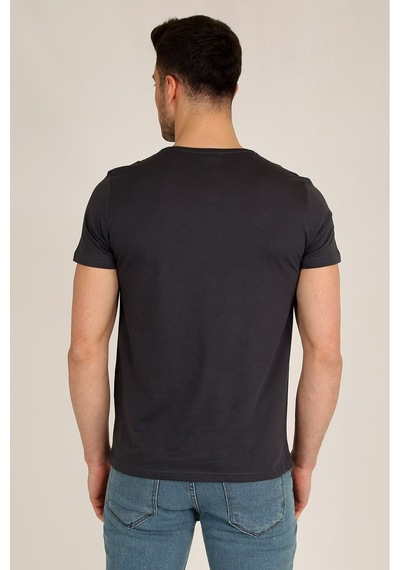 Erkek Antrasit Slim Fit Bisiklet Yaka Basic T-shirt Antrasit