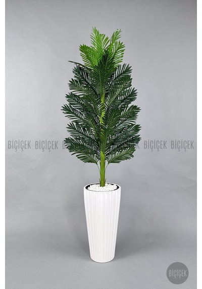 Yapay Areka Ağaci 220 Cm Beyaz Li Lyum Saksıda