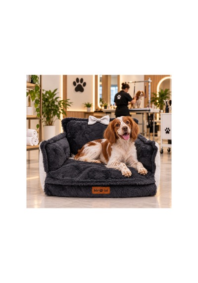 Peluş Fiyonklu Kedi Ve Köpek Koltuğu Tamamen Fermuarlı Çıkarılabilir İç Minder Boncuk Elyaf Kaydırmaz Taban Kedi Ve Köpek Yatağı Antrasit Peluş Beyaz 1715024313 Peluş Fiyonklu Kedi Ve Köpek Koltuğu Tamamen Fermuarlı Çıkarılabilir İç Minder Boncuk Elyaf Kaydırmaz Taban Kedi Ve Köpek Yatağı Antrasit Peluş Beyaz 1715024313
