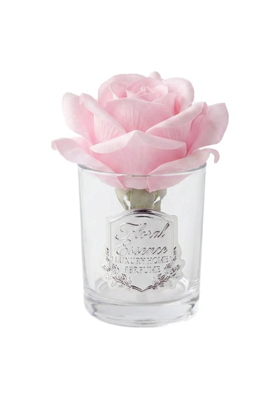 Bloom Ritual Set- Blush Bloom