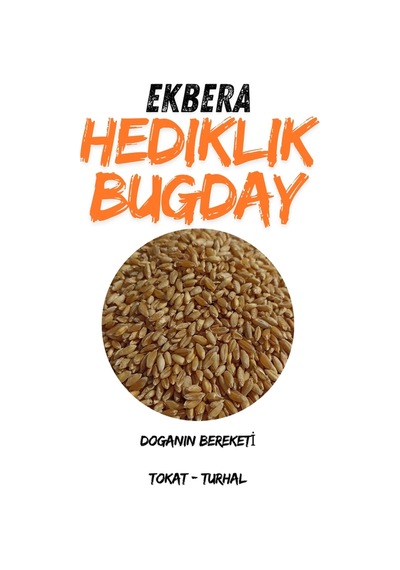 Hediklik Buğday Diş Buğdayı 1 Kg, Doğal Ve Sağlıklı - 705254515