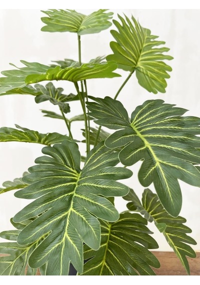 Yapay Ağaç Salon Bitkisi Syngonium 70 Cm 18 Yaprak Antrasit Saksı