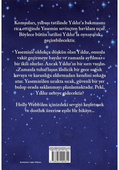 Kayıp Kedicik Yıldız