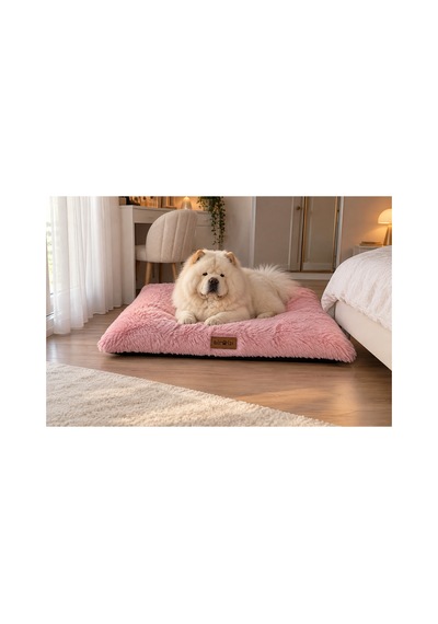Kedi Ve Köpek Peluş Yer Minderi Üst Kalite Yıkanabilir Kılıflı Fermuarlı Boncuk Elyaf Kaydırmaz Taban Kedi Ve Köpek Yatağı Pembe 1716914340 Kedi Ve Köpek Peluş Yer Minderi Üst Kalite Yıkanabilir Kılıflı Fermuarlı Boncuk Elyaf Kaydırmaz Taban Kedi Ve Köpek Yatağı Pembe 1716914340