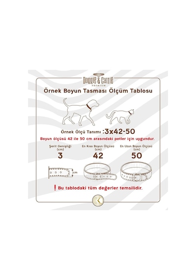 Doggie Eğitim Serisi Çift Boğma Zincirli Köpek Boyun Tasması Krom