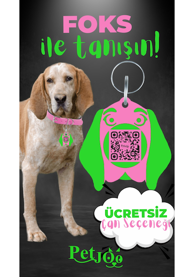 Petjoo 29.Foks Yeşil-Pembe Qr'lı Köpek Künyesi