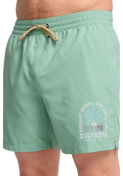 Billabong Foundation Lb Erkek Şort Ebyjv00162 Karışık