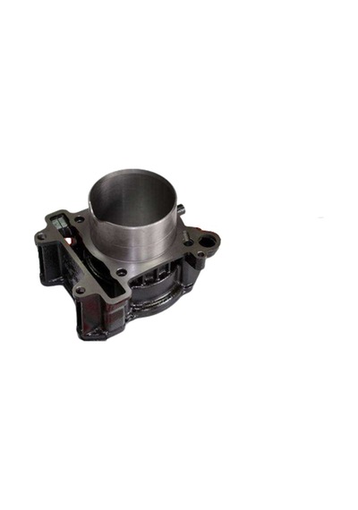 Pıaggio Beverly 350-x10 350 Silindir Boş Vsp046e