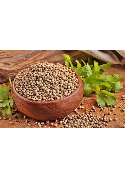 Botanik Sağlık Kişniş Tane 100 G