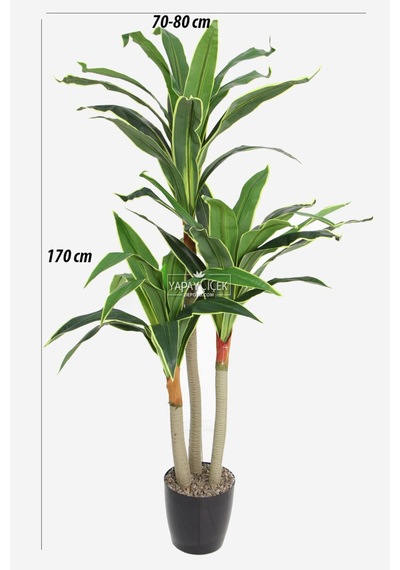 Saksıda Yapay 3 Gövdeli Massengena Ağacı 170 Cm Yeşil-sarı