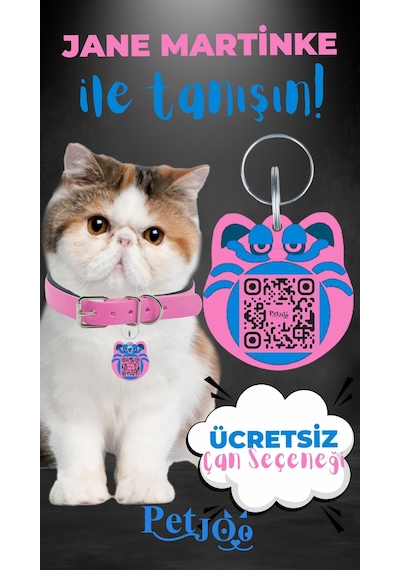 Petjoo 5.Jane Martinke Mavi-Pembe Qr'lı Kedi Künyesi