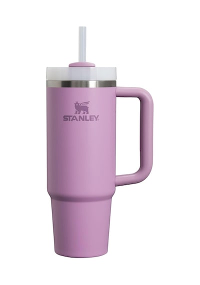 Stanley The Quencher H2.o Flowstate 0.89l Termos 10-10827-225 Çok Renkli